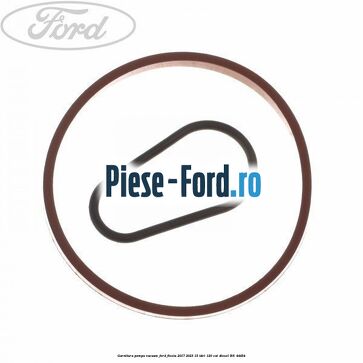 Garnitura pompa vacuum Ford Fiesta 2017-2023 1.5 TDCi 120 cai #34021F4653